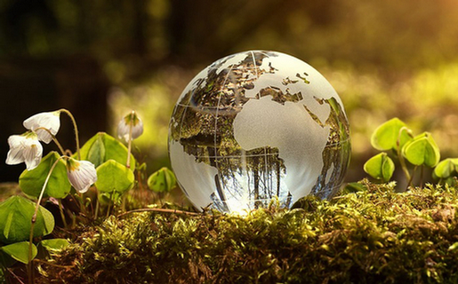 Environmental jurisprudence and natural resources, dimensions and headings